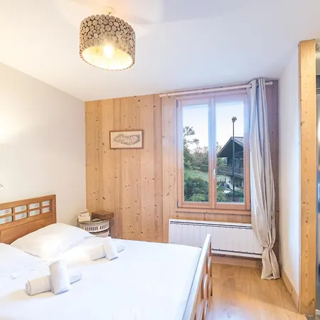 A Avec Sauna Et Jardin, Animaux Admis - Fr-1-343-232 * Chamonix