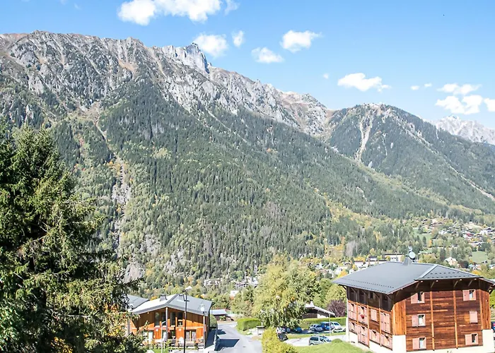 Chalet A Avec Sauna Et Jardin, Animaux Admis - Fr-1-343-232 *