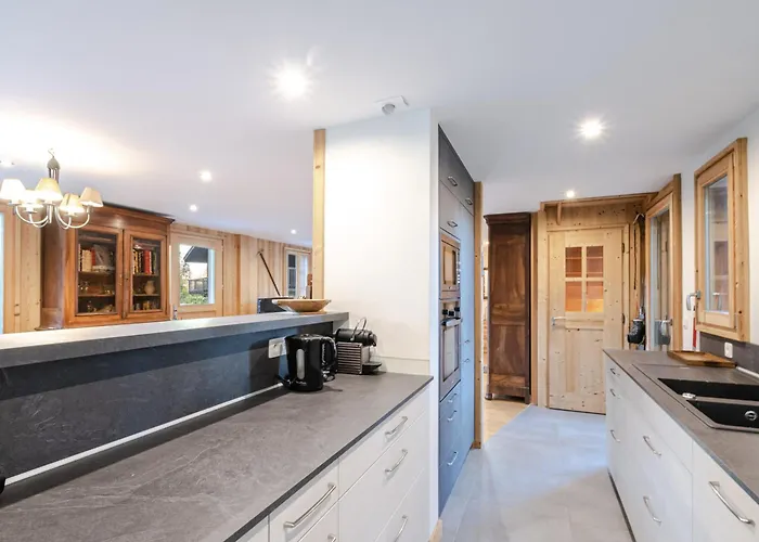 A Avec Sauna Et Jardin, Animaux Admis - Fr-1-343-232 Chamonix