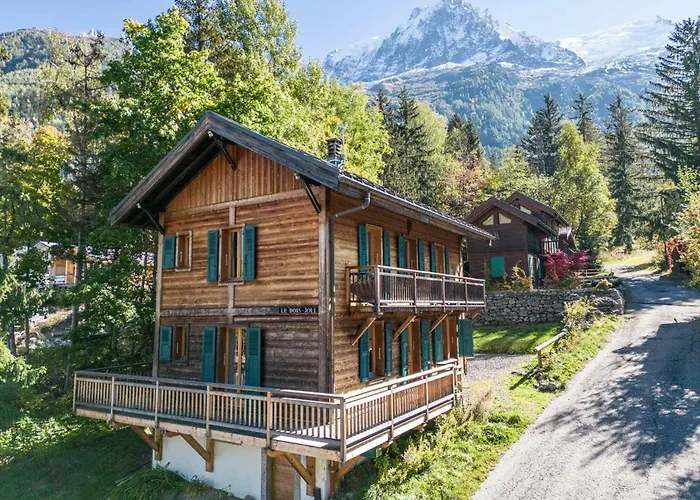 A Avec Sauna Et Jardin, Animaux Admis - Fr-1-343-232 Alpehytte Chamonix